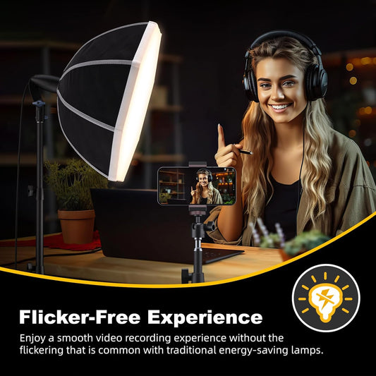 LINCO Lincostore Softbox Photography Lighting Kit Professional 20" Octagonal Softbox Lighting Kit with 85W 3000-6500K LED Bulbs, Studio Lights for Photography/Video Recording/Live Streaming AM318